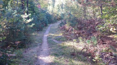 Mineral Site Trail start
