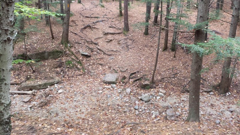 Mineral Site Trail Gully / Stream Crossing