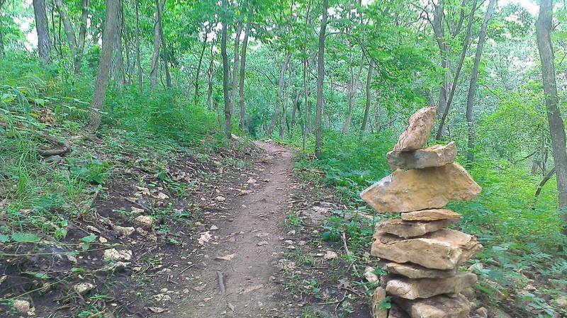 Singletrack on Red Trail