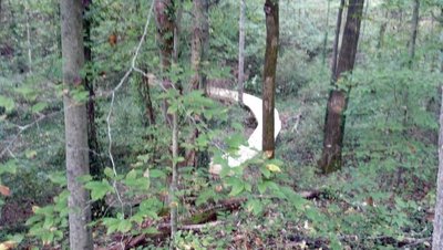 One of eight bridges on this trail.
