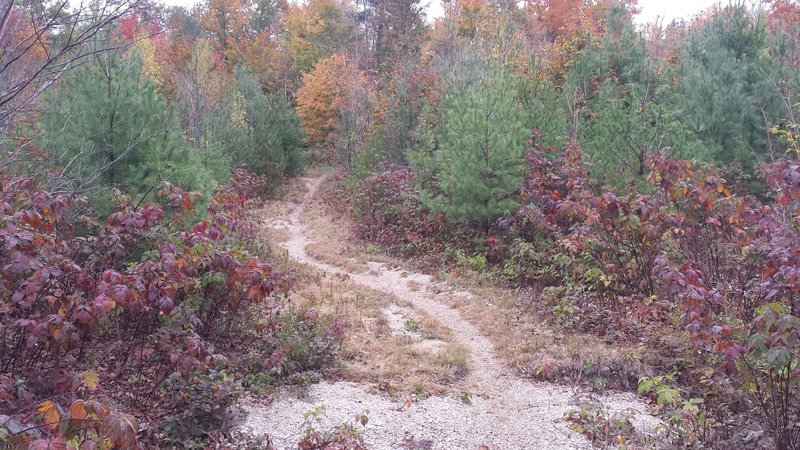 High School Loop Sandy Area