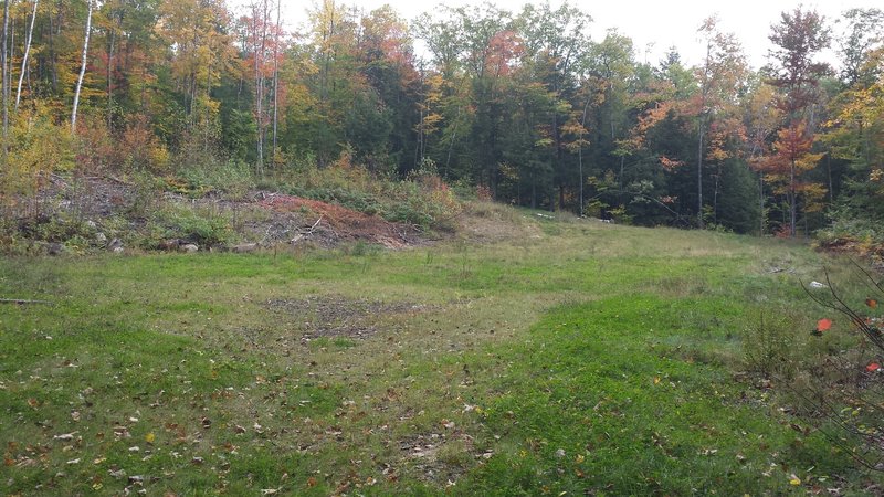 Kettle Ridge Trail, field at bottom