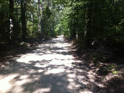 Cedarville Forest Rd.