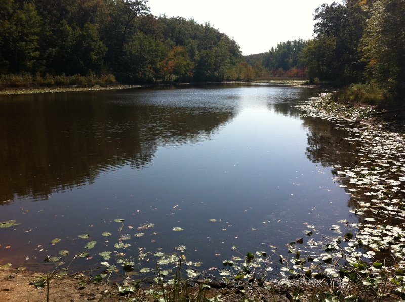 Cedarville State Forest pond