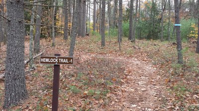 Hemlock New Start