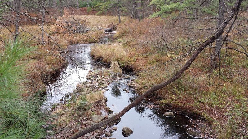 Bear Brook near Old Stone Bridge