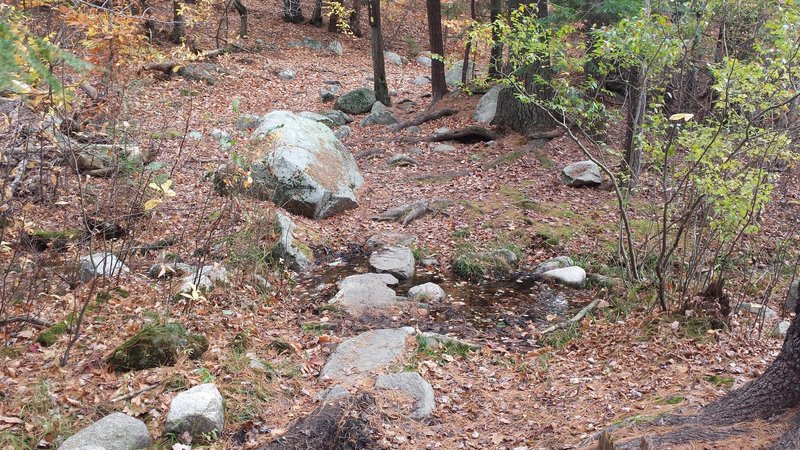 Beaver Pond Rocky Start