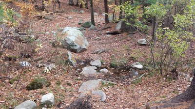 Beaver Pond Rocky Start