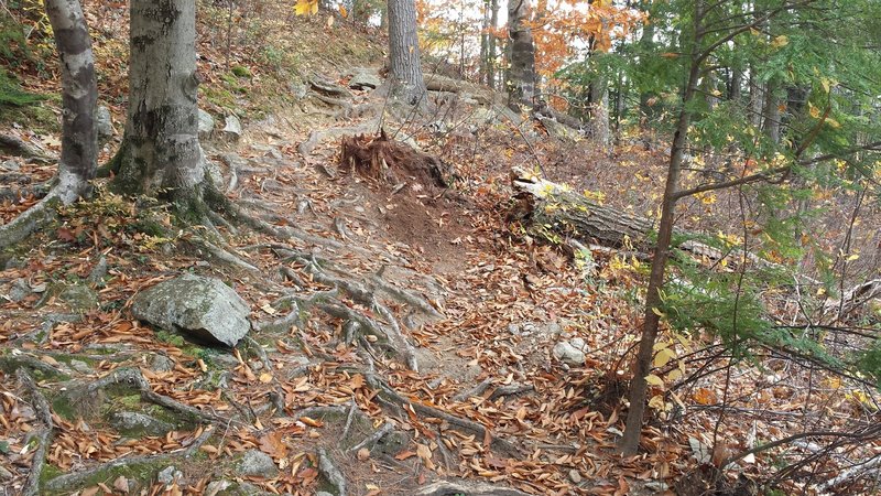 Beaver Pond Most Difficult Section