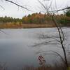 Beaver Pond