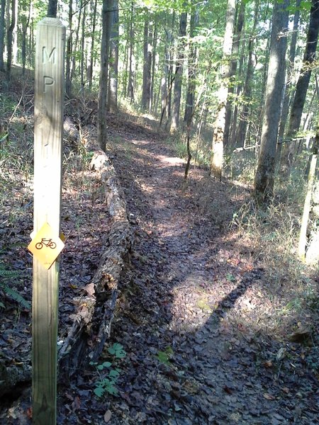 Charolette's Hill of Pain along the CW Trail MP 11