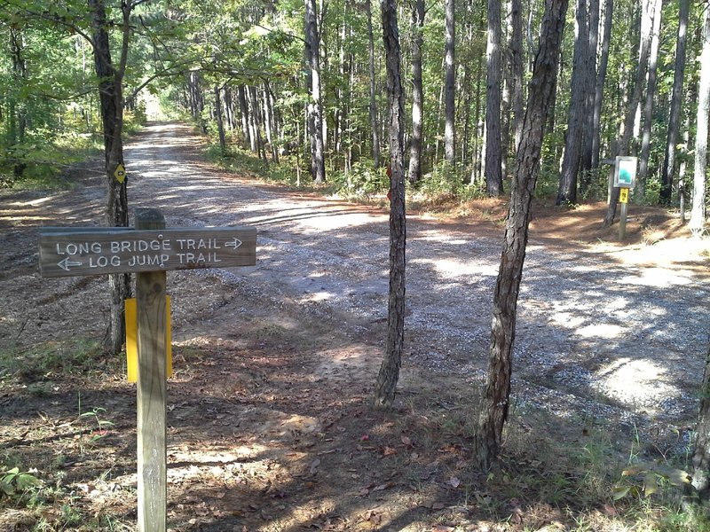 The CW trail, Log Jump Trail, Long Bridge Trail and Noxubee Hill Rd Trailhead