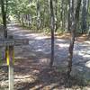 The CW trail, Log Jump Trail, Long Bridge Trail and Noxubee Hill Rd Trailhead