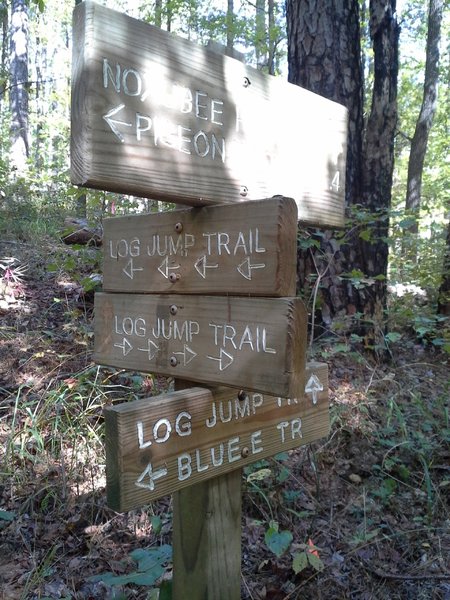 Log Jump and Blue E Trailhead