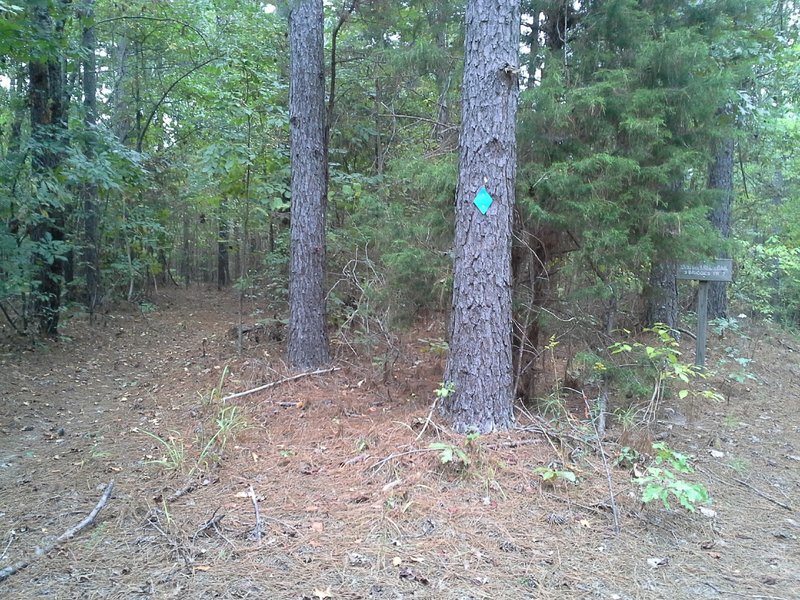 Sheep Ranch and Power Line Trailhead