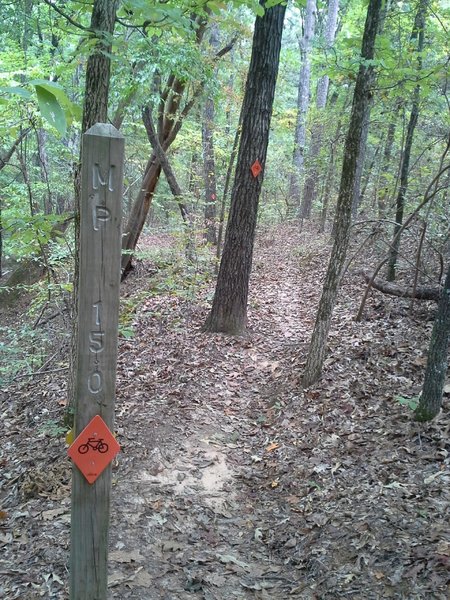 MP 15 along the Sheep Ranch Trail