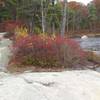 Bear Hill Pond Slabs