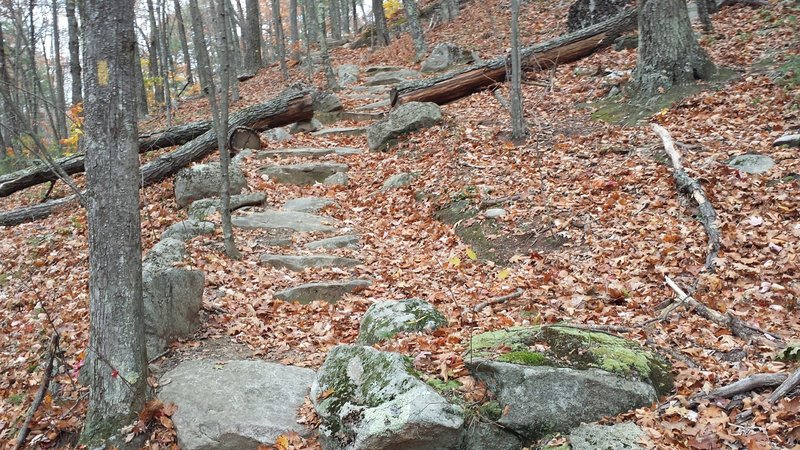 Hedgehog Ledge Hike-A-Bike (going North)