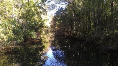 Wakulla River