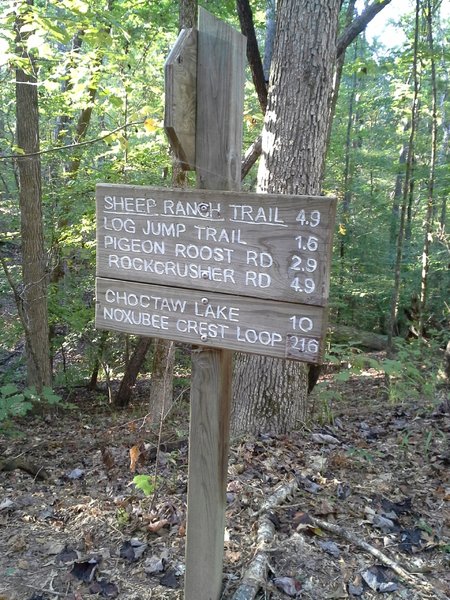 The eastern end of the Sheep Ranch Trail and Noxubee Hill Rd