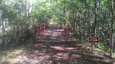Not the exciting stretch of the trail.