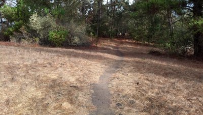 indian mound looking north
