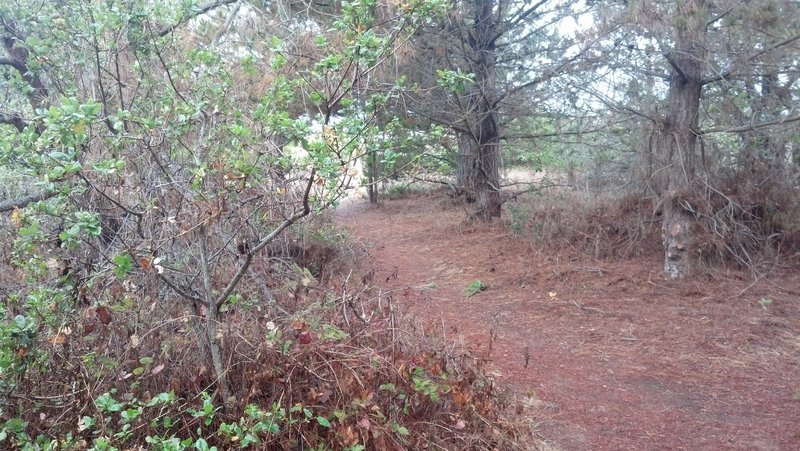 north end of indian mound