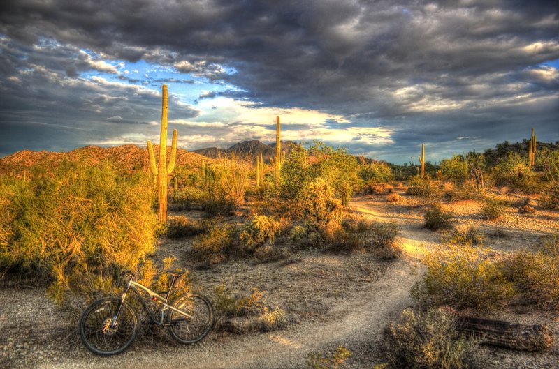 Sun rising on San Tan Trail