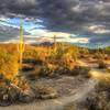 Sun rising on San Tan Trail