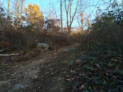 The connector off of Dinky Path, leading to Will's Loop.