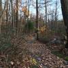 Top of Dinky Path at SMCC, looking right toward Ground Oak Trail in Bald Eagle State Forest.