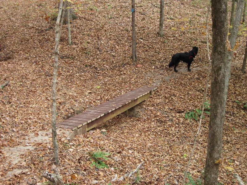 3 Bridges Trail, one of several small bridges built as an Eagle Scout Project