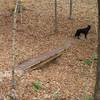 3 Bridges Trail, one of several small bridges built as an Eagle Scout Project