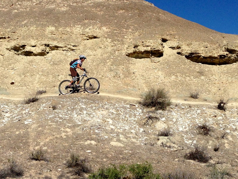 Climbing out of the Snake Pit wash.