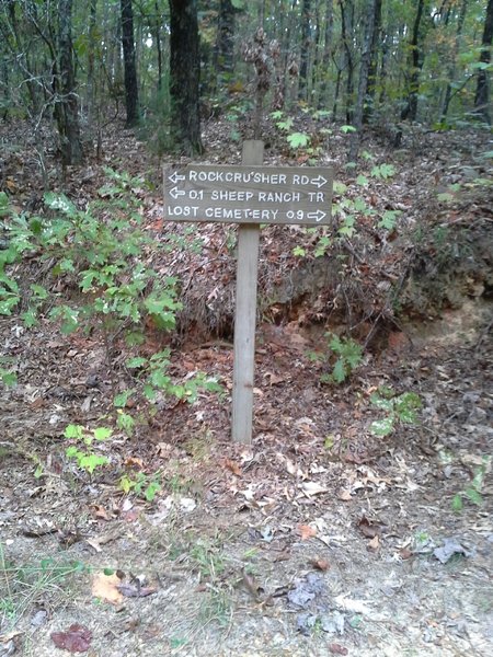 Rock Crusher Rd and 3 Bridges Trailhead