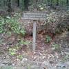 Rock Crusher Rd and 3 Bridges Trailhead