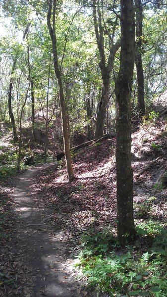 Trail running around an old spoil pile