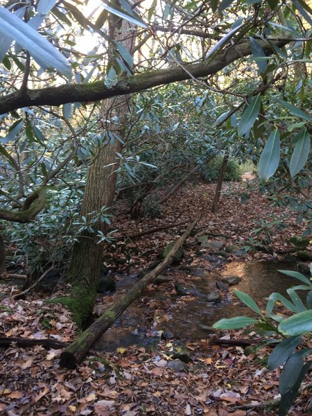 How many stream crossings come with a handrail?