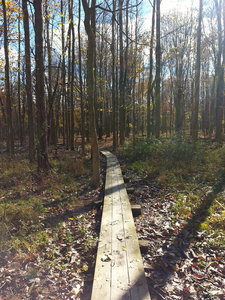 Easy bridge
