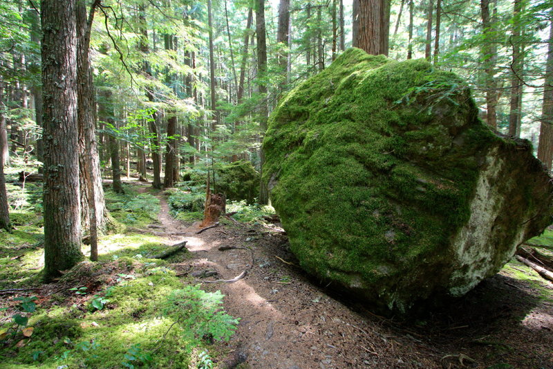 Passing a few massive erratics heading toward Camp Shepherd.