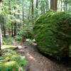 Passing a few massive erratics heading toward Camp Shepherd.