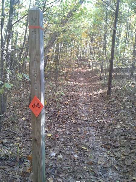 MP 13 along the Sheep Ranch Trail