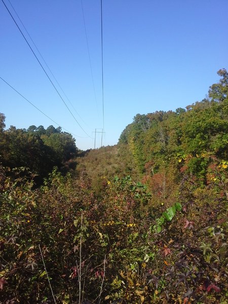 Looking up towards the power line over look