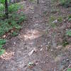 The rock garden near the power line overlook along the Sheep Ranch Trail