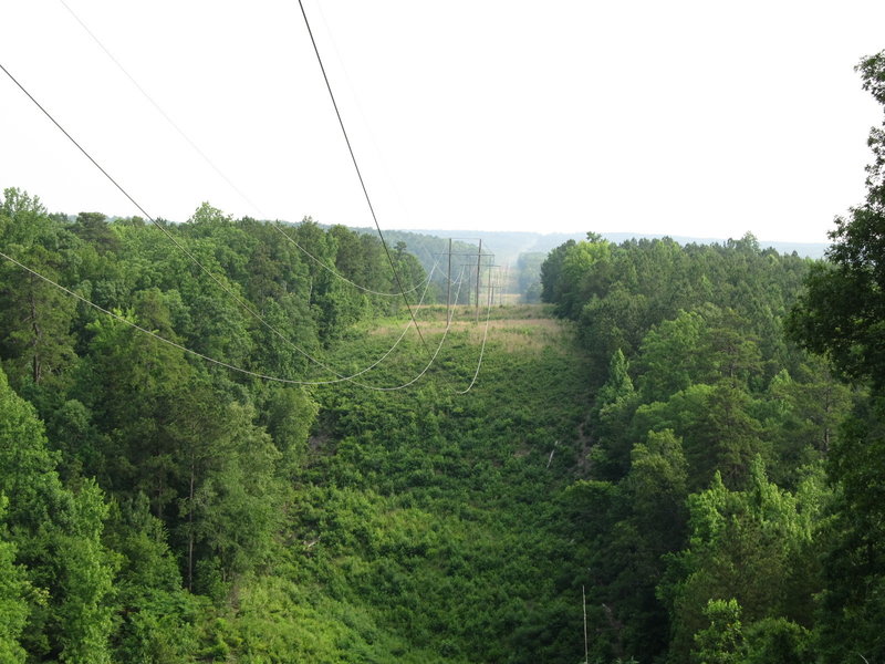 looking north up the power line from the power line lookout along the Sheep Ranch Trail