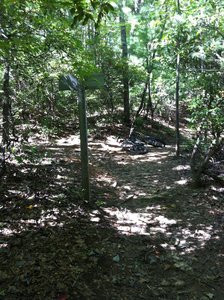 Long Branch Loop #165G Mountain Bike Trail, Blue Ridge, Georgia