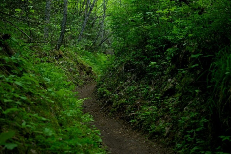 Narrow trail, high walls, all fun.