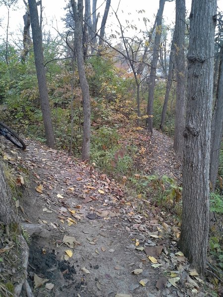 Hillside bench cut trail abounds throughout Coal Miner's Daughter.