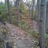 Hillside bench cut trail abounds throughout Coal Miner's Daughter.