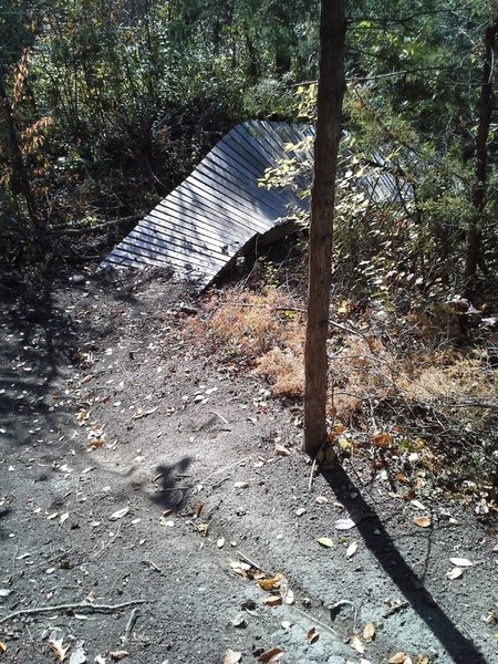 Expert level line with wooden berm to drop down into the wooden technical skills feature section.